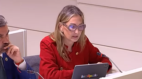 cristina d&iacute;az senado