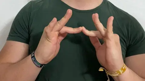 lengua signos