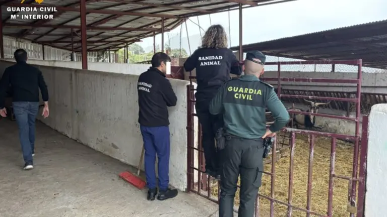 Verifican el cumplimiento de la normativa en las explotaciones ganaderas en vísperas de Eid al-Adha