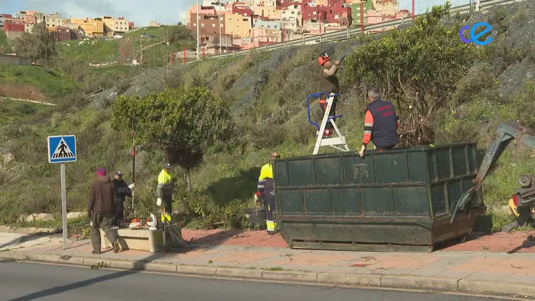 Vivas, sobre las Brigadas Verdes: "Cumpliremos nuestro compromiso"