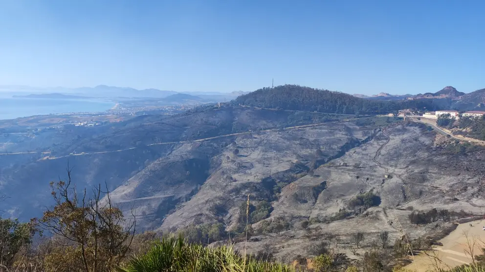 incendio de dia