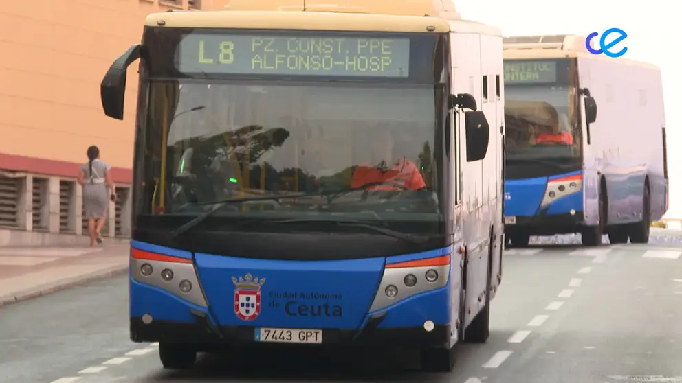 LINEA 8 AUTOBUS