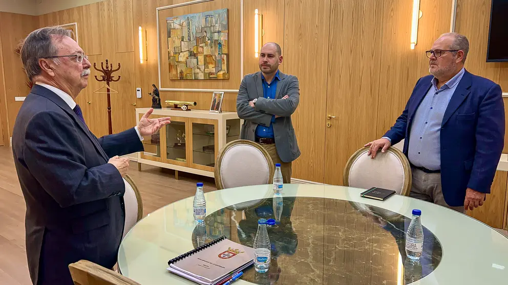 Reunión Triano-Vivas-Coronil