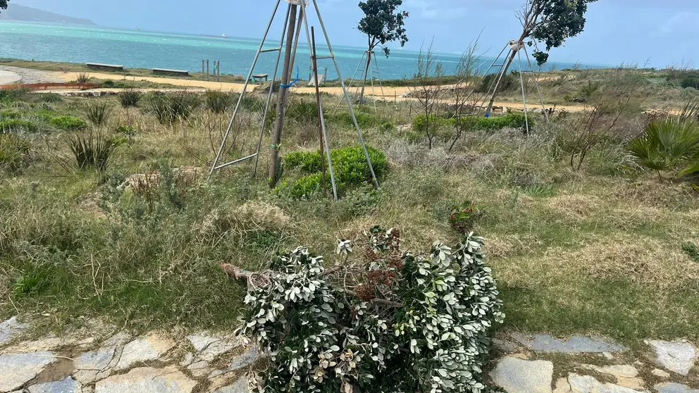 parque santa catalina