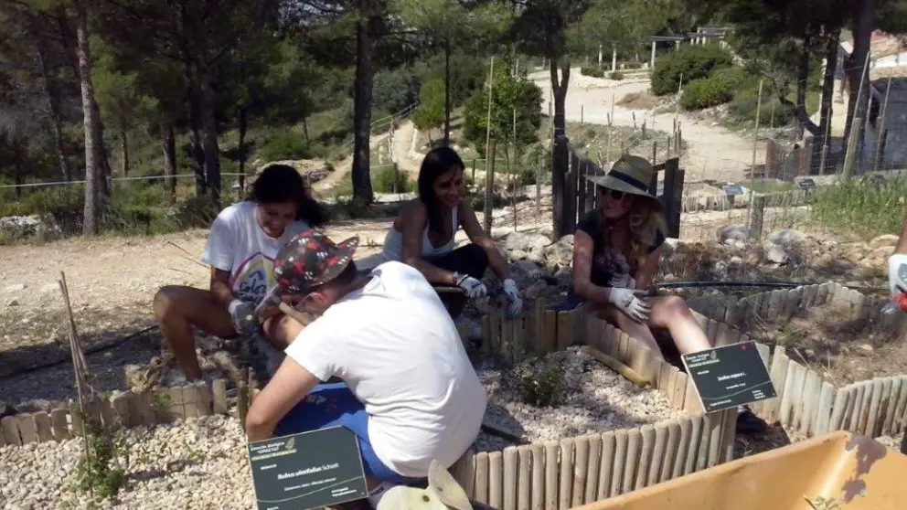 campo voluntariado valencia