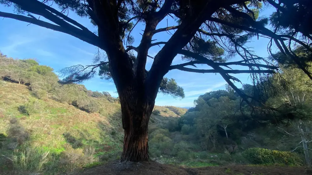 WhatsApp Image 2026-04-20 at 20.04.37