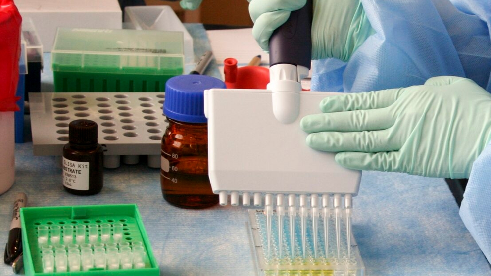 forense