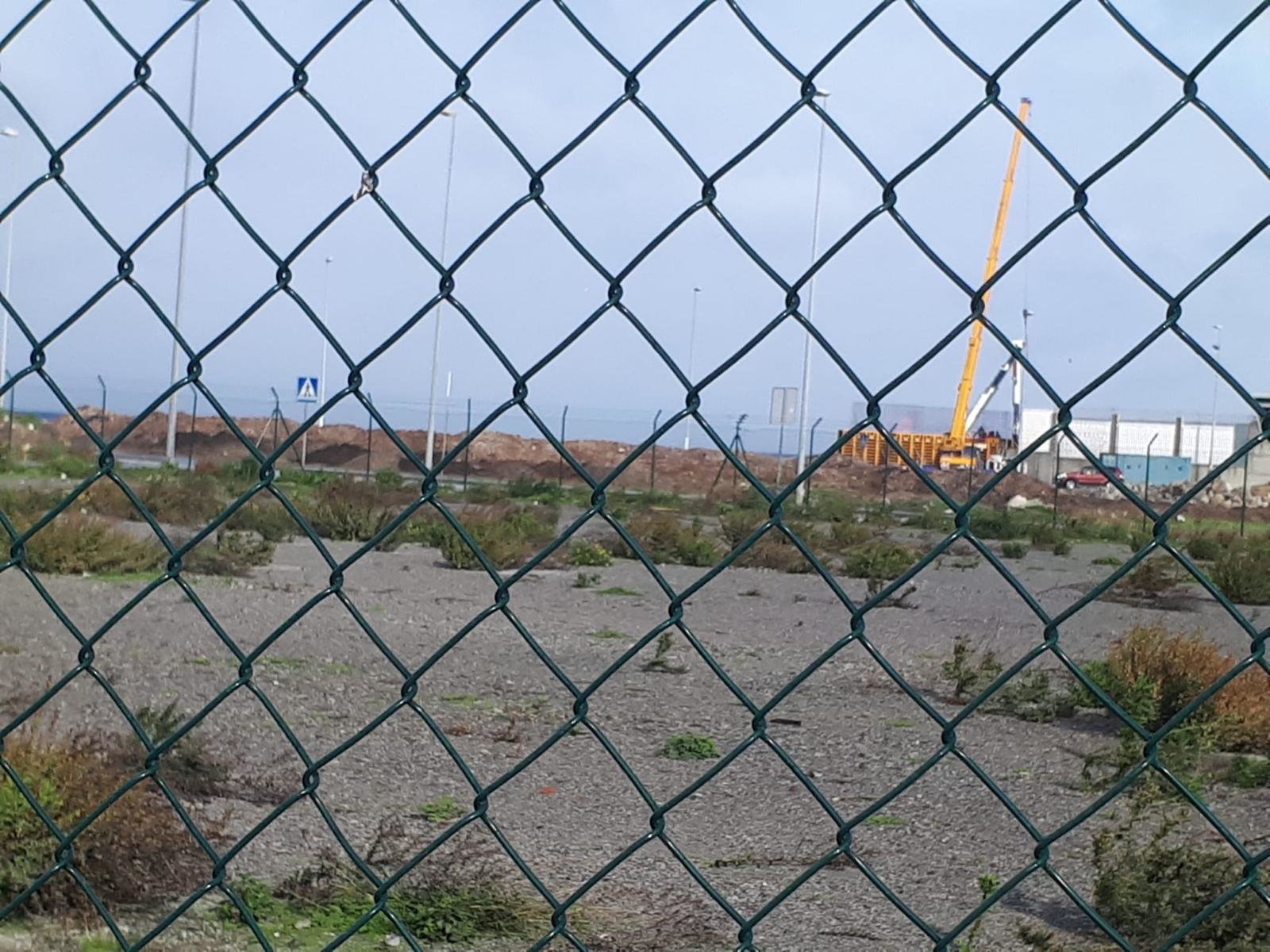 acumulación de algas