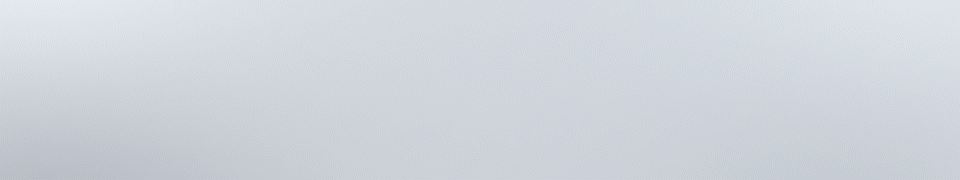 banner twitter