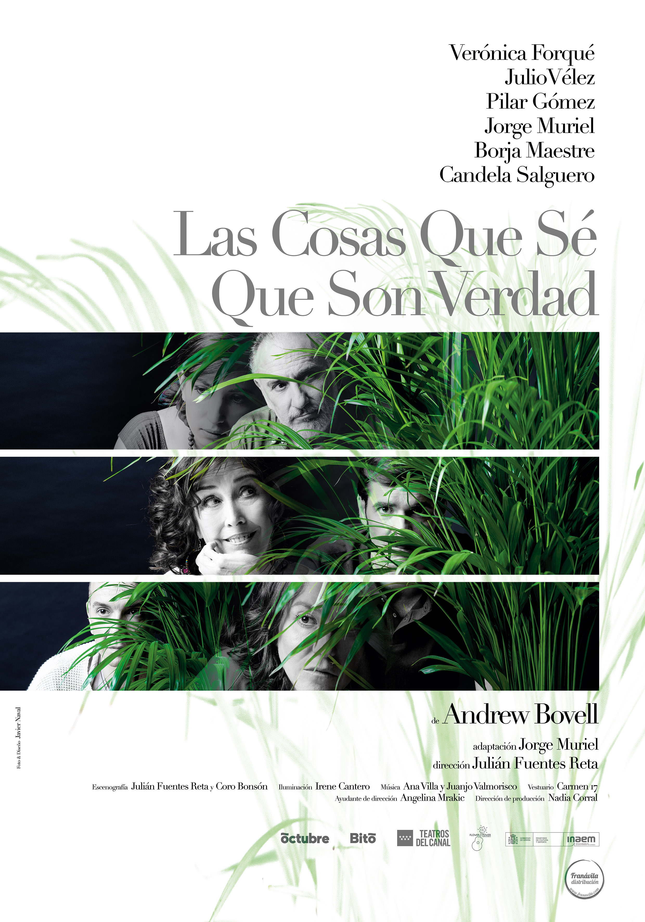 Las cosas que sé que són verdad - Cartel