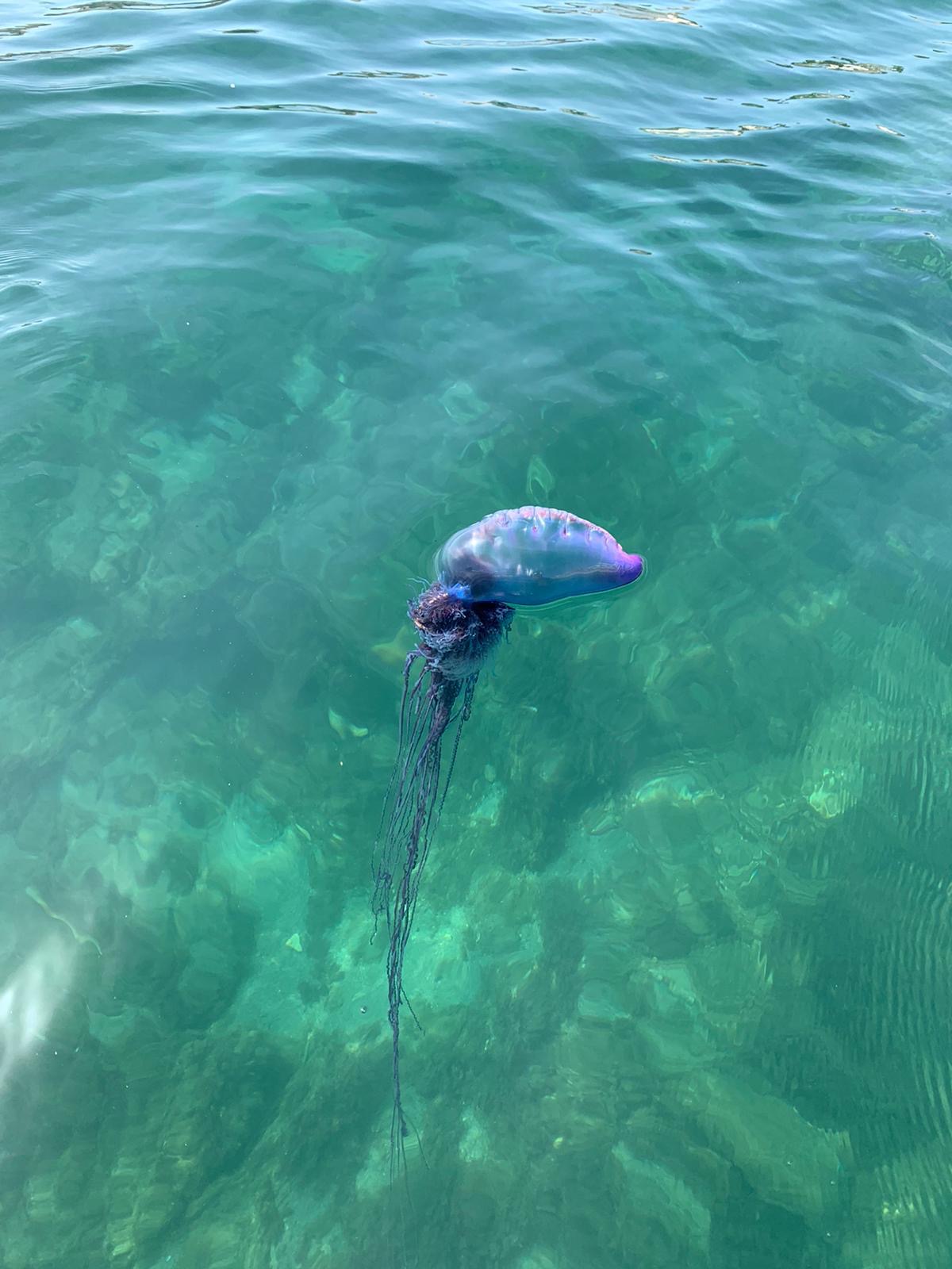 28905fc3-2730-49bb-b242-0ac7c8d1e733