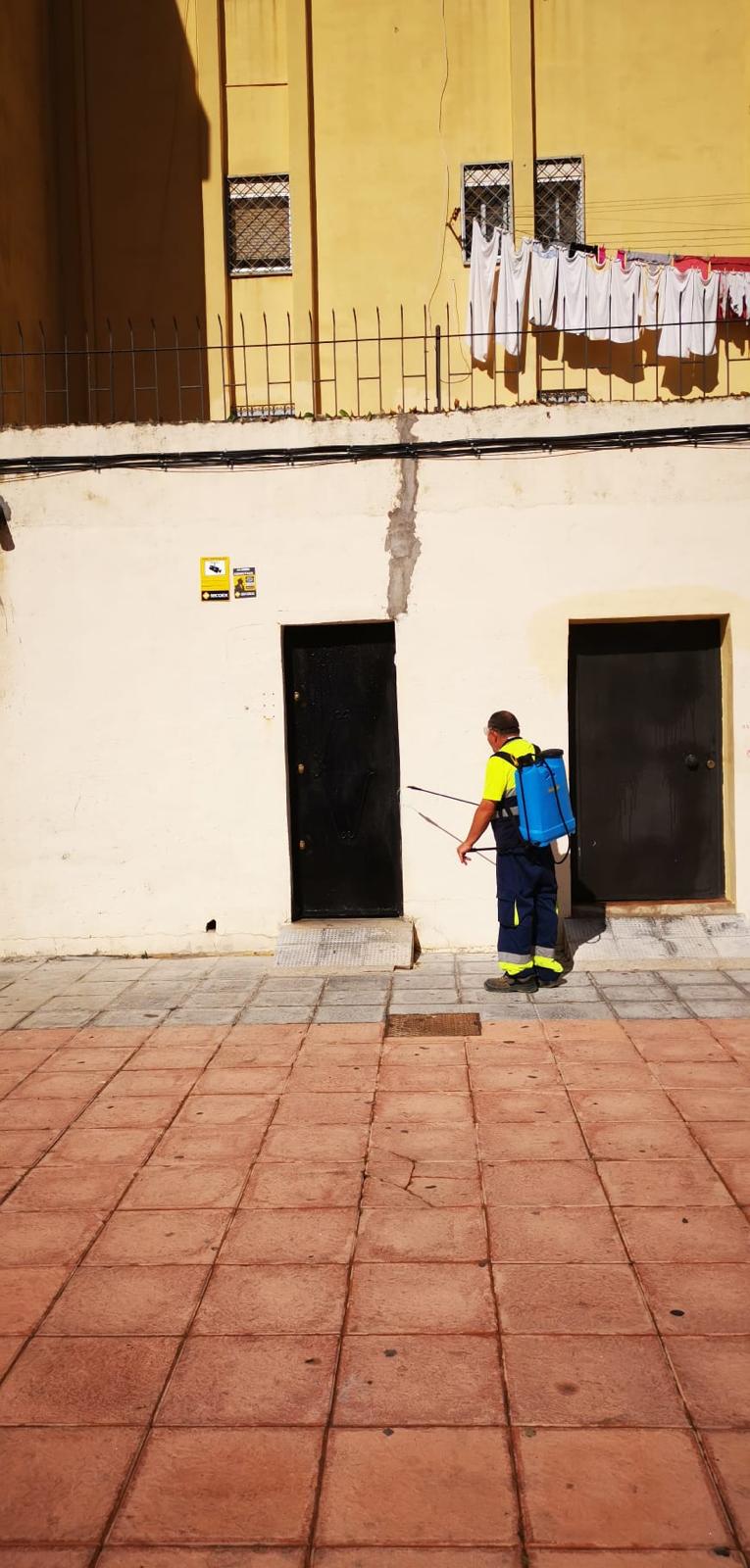 WhatsApp Image 2020-09-07 at 11.27.59