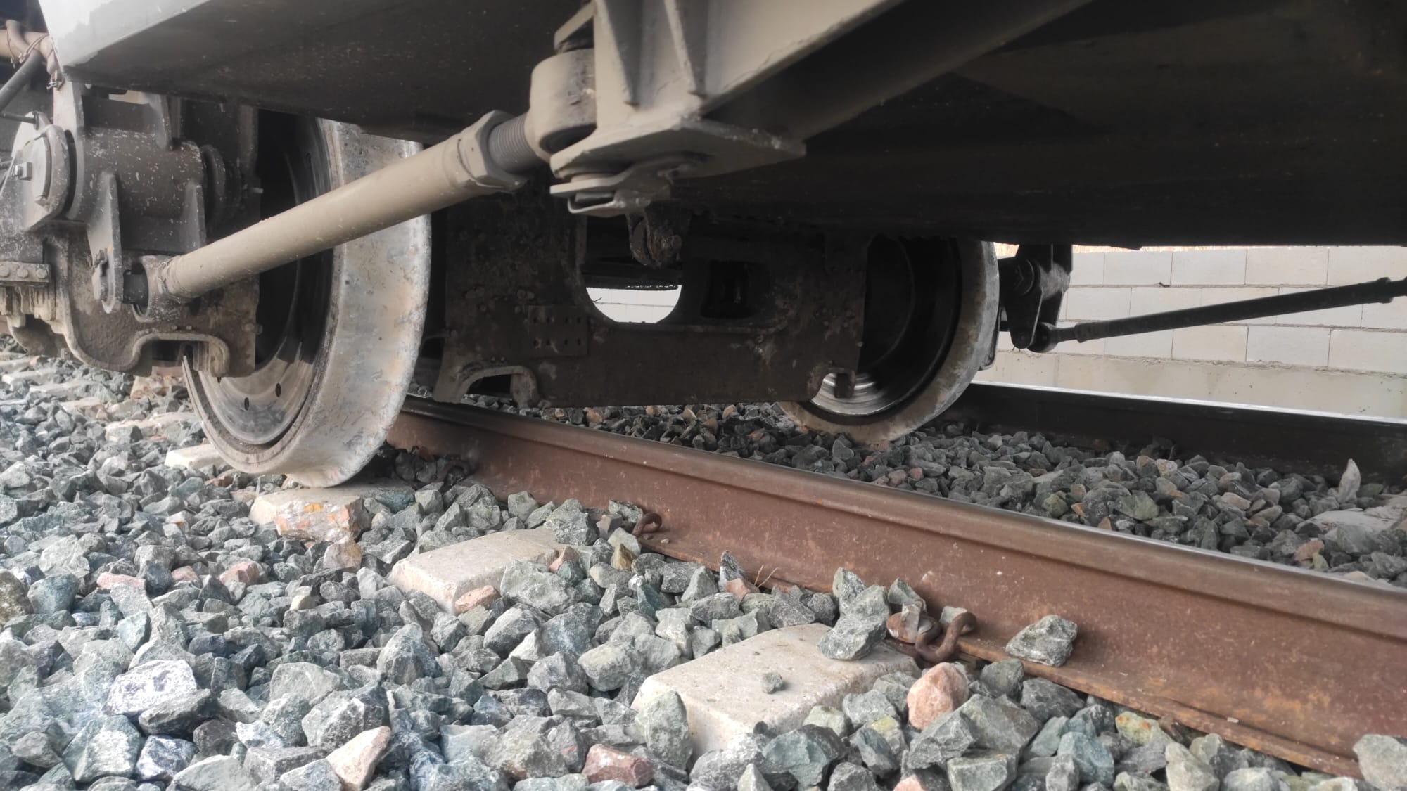 WhatsApp Image 2020-11-05 at 19.08.52