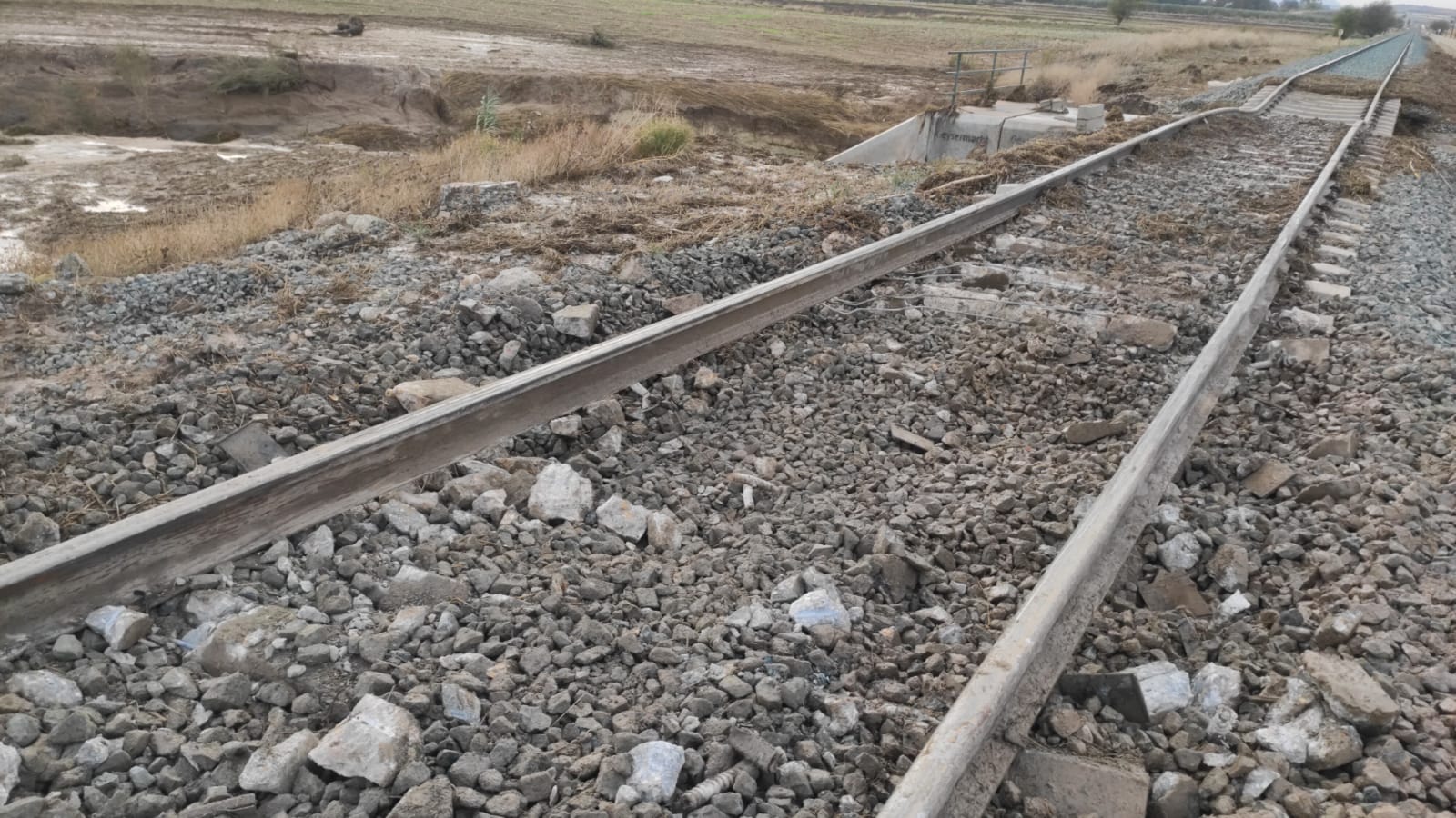 WhatsApp Image 2020-11-05 at 19.08.51 (1)