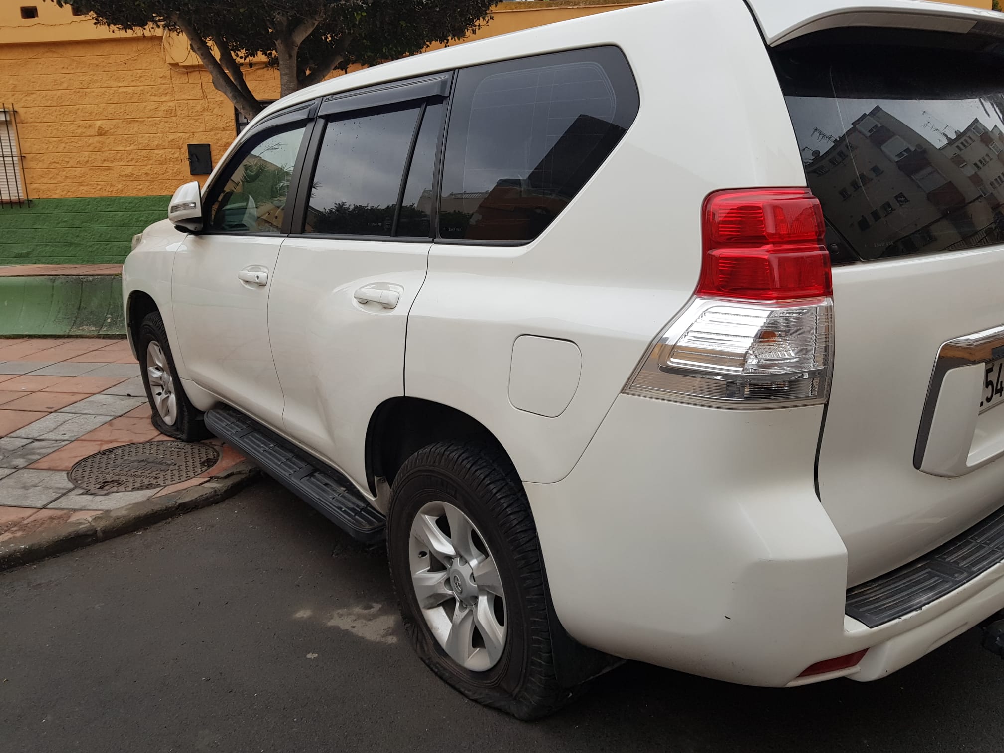 WhatsApp Image 2021-03-01 at 10.19.13 (1)