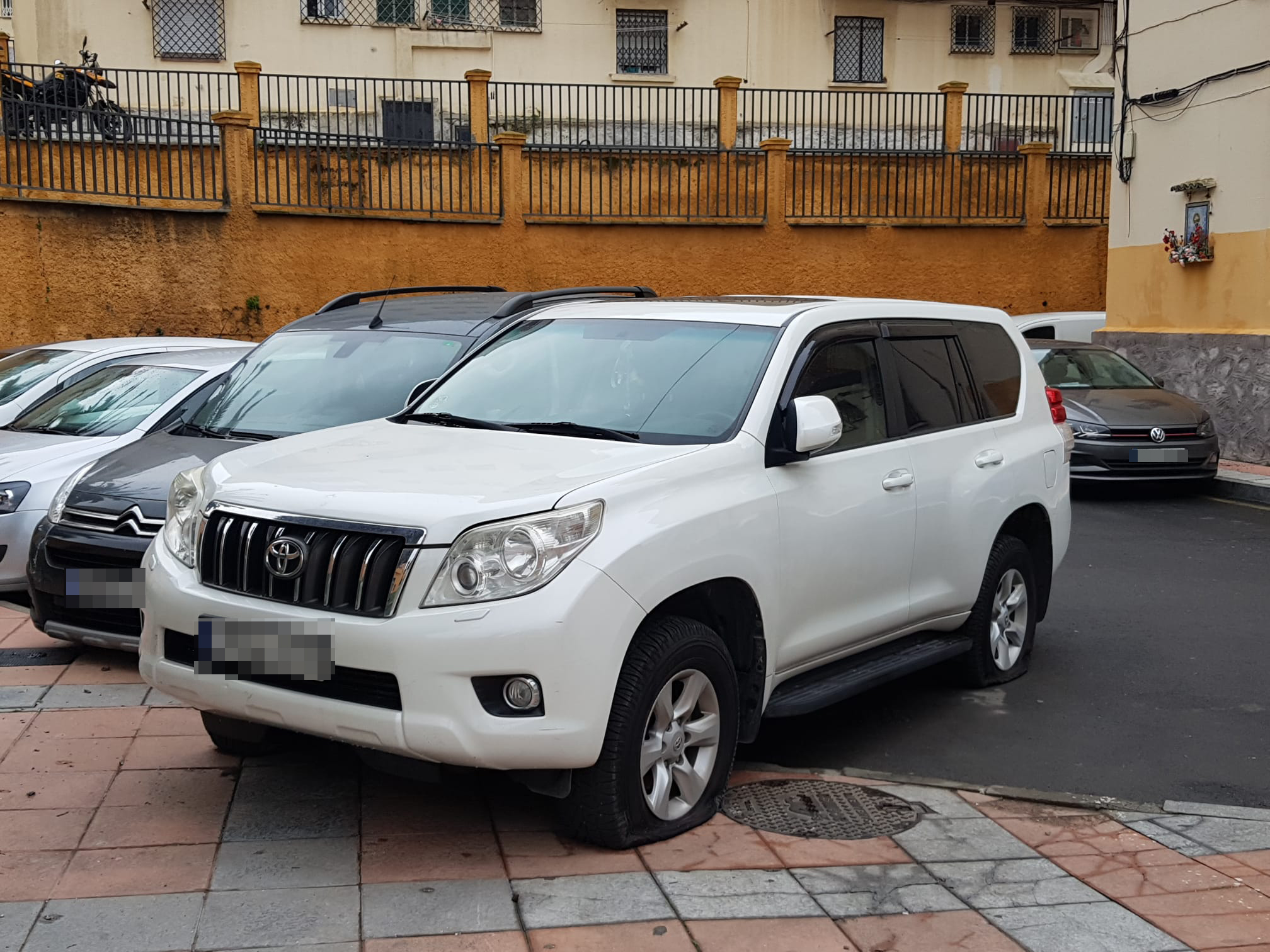 WhatsApp Image 2021-03-01 at 10.19.14 (2)