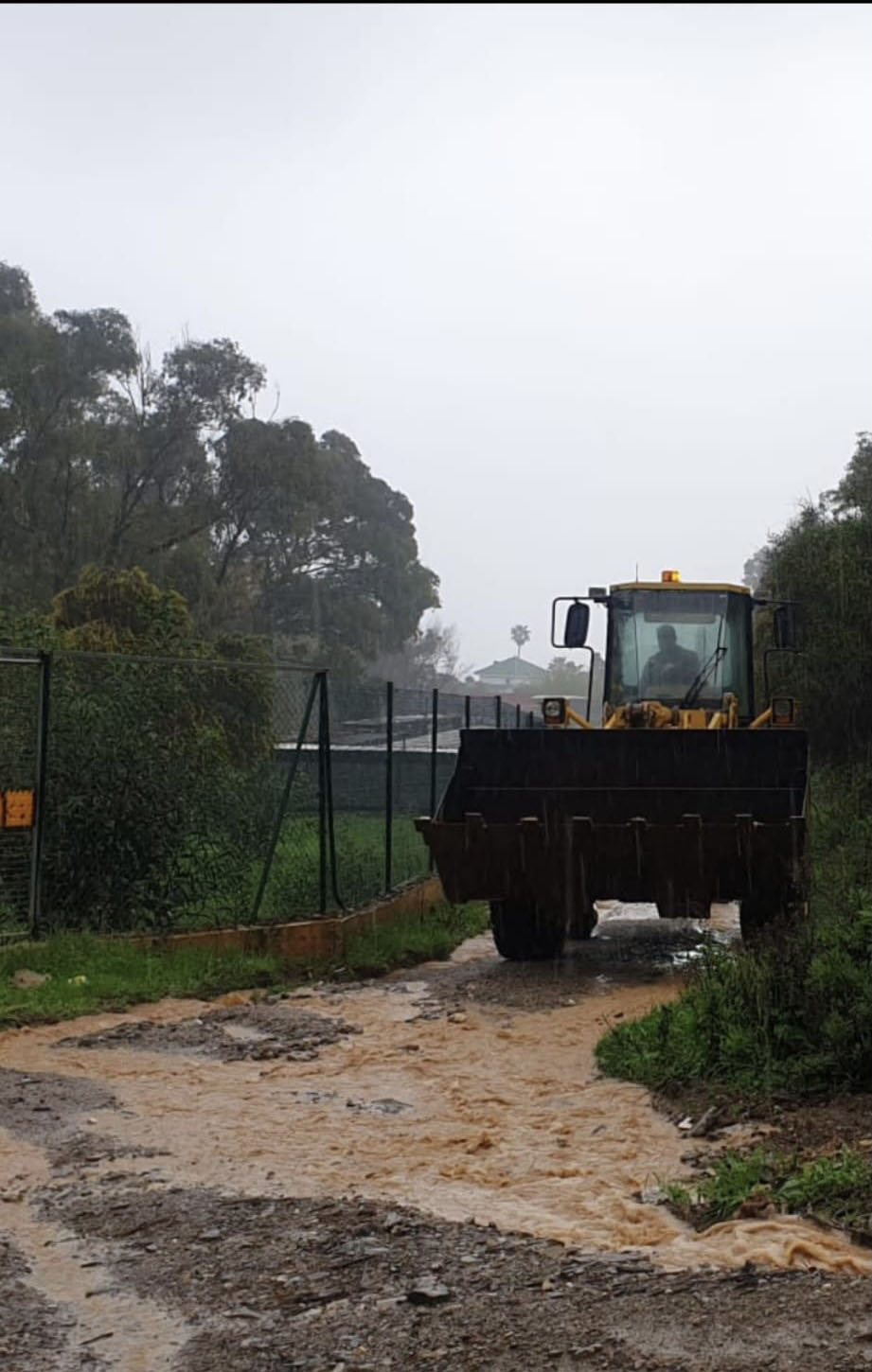 excavadora_Protectora