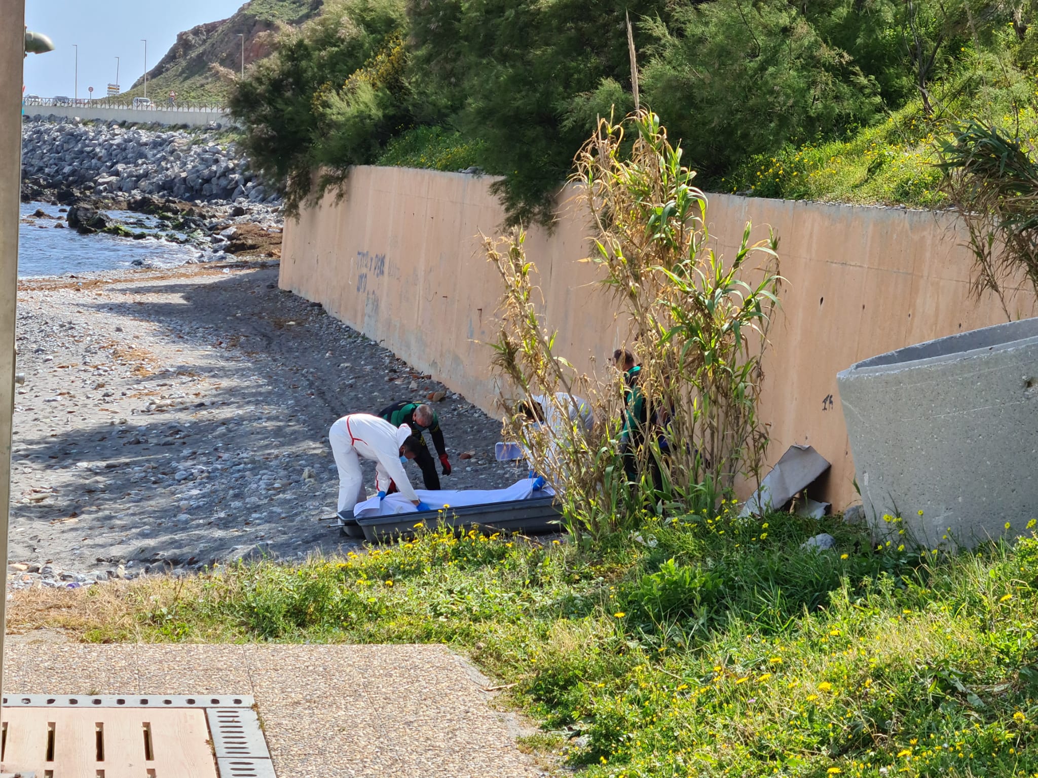 WhatsApp Image 2021-04-04 at 12.45.11