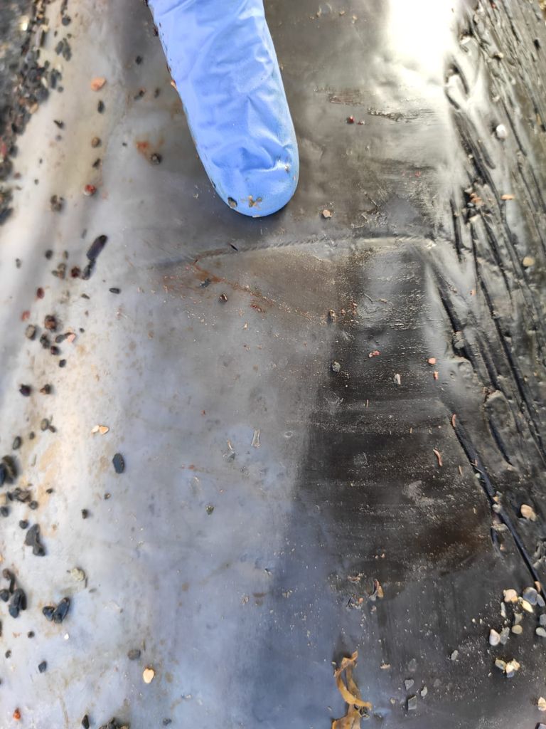 WhatsApp Image 2021-04-06 at 12.10.22 (2)