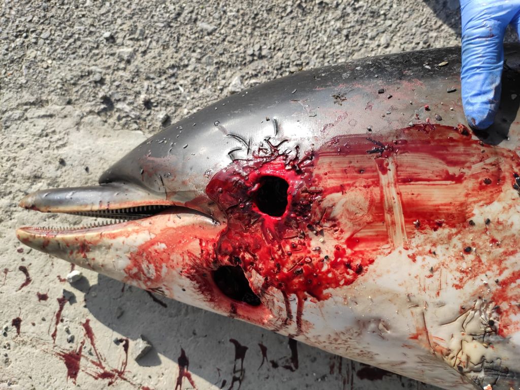 WhatsApp Image 2021-04-06 at 12.10.22