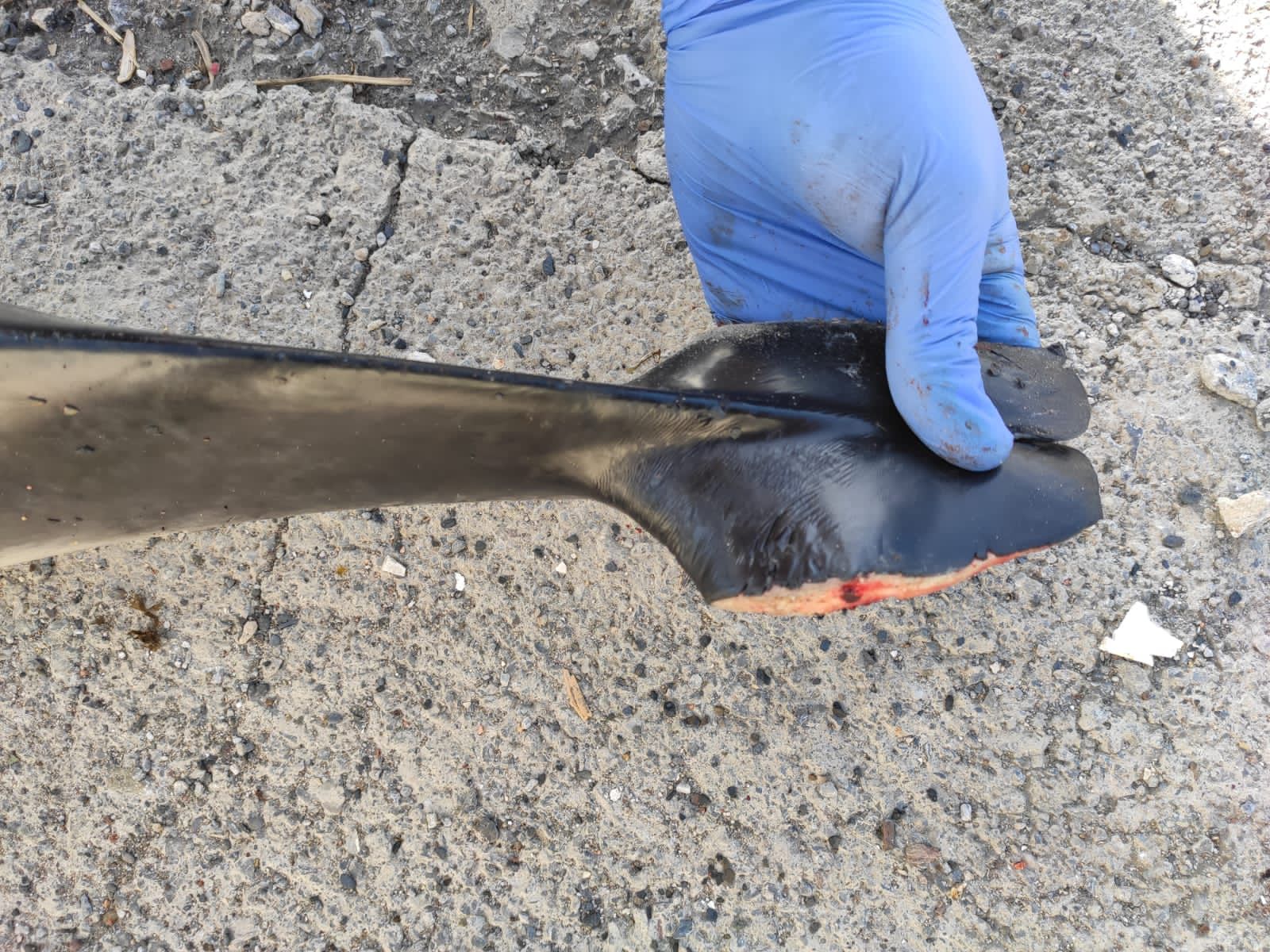 WhatsApp Image 2021-04-06 at 11.48.58