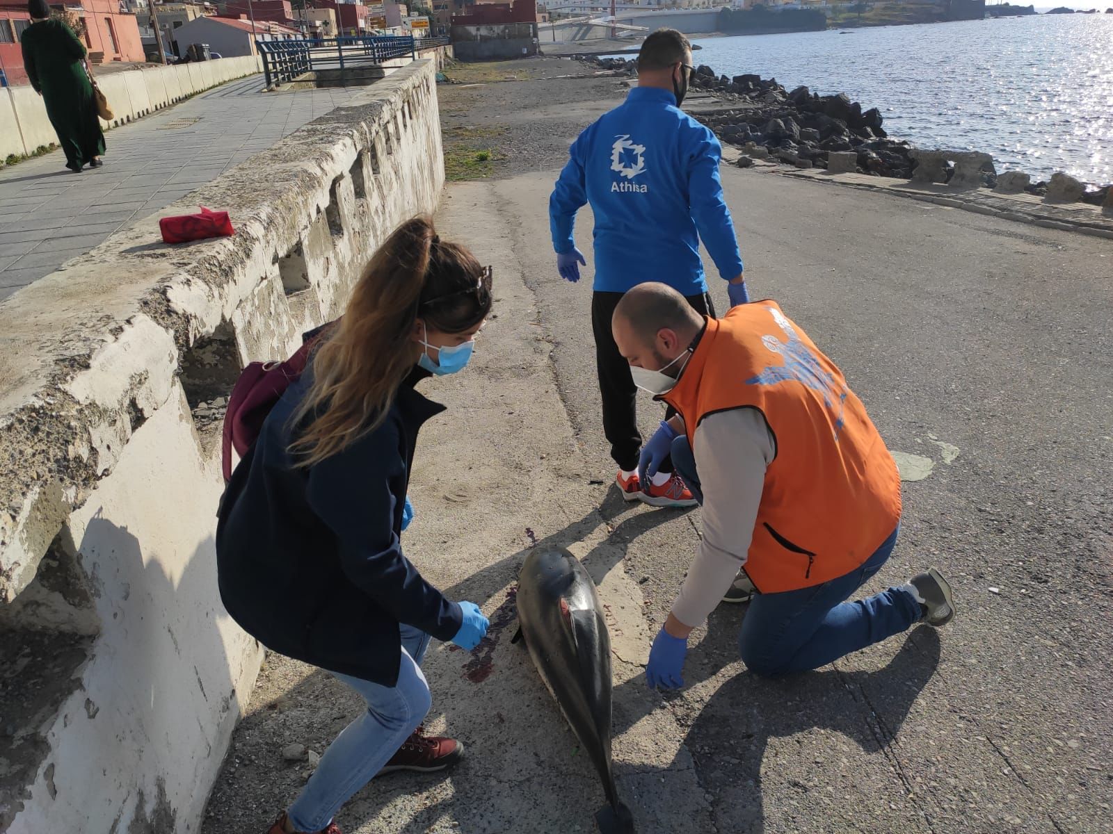 WhatsApp Image 2021-04-06 at 11.48.56