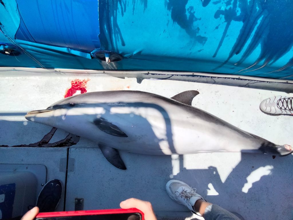 WhatsApp Image 2021-04-19 at 20.52.04 (5)