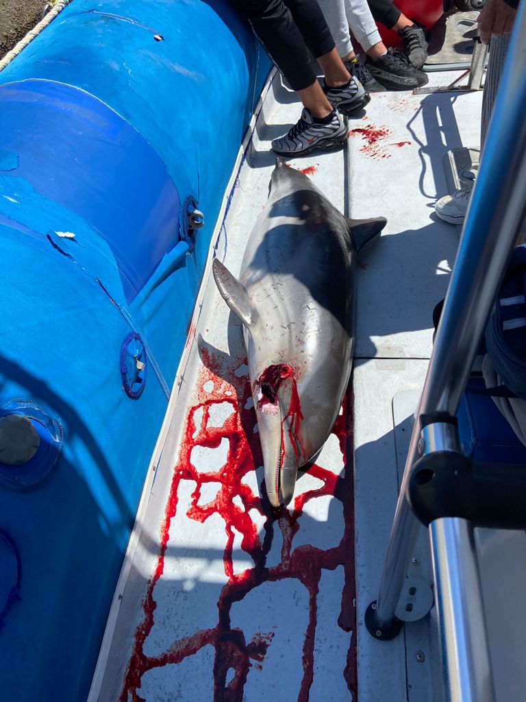 WhatsApp Image 2021-04-19 at 20.52.04 (3)