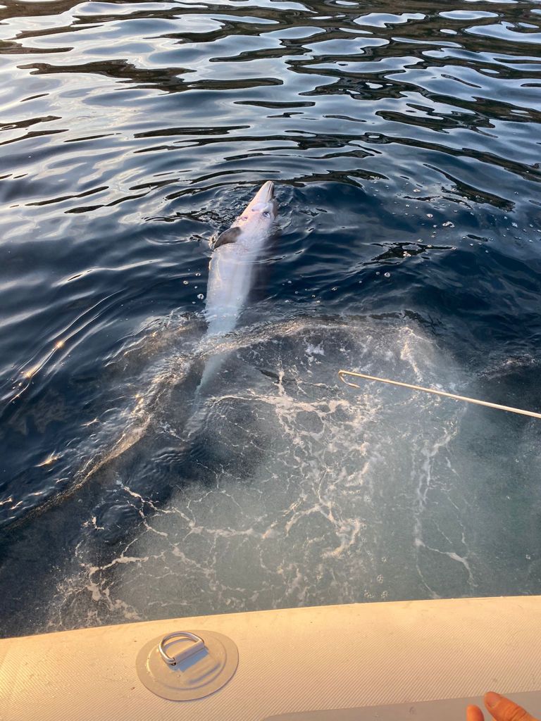 WhatsApp Image 2021-04-19 at 20.52.04 (2)