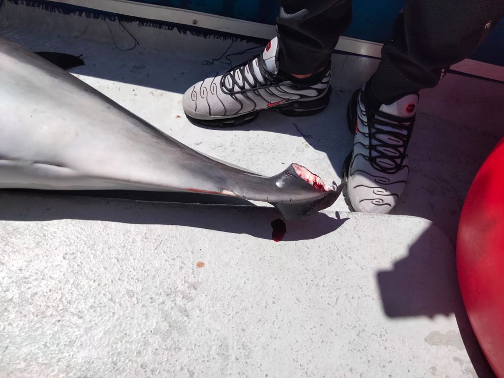 WhatsApp Image 2021-04-19 at 20.52.03 (4)