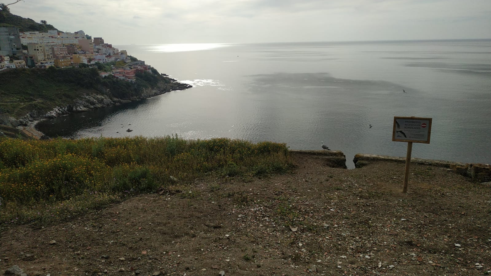 cartel de prohibición e informativo en el acceso superior del acantilado