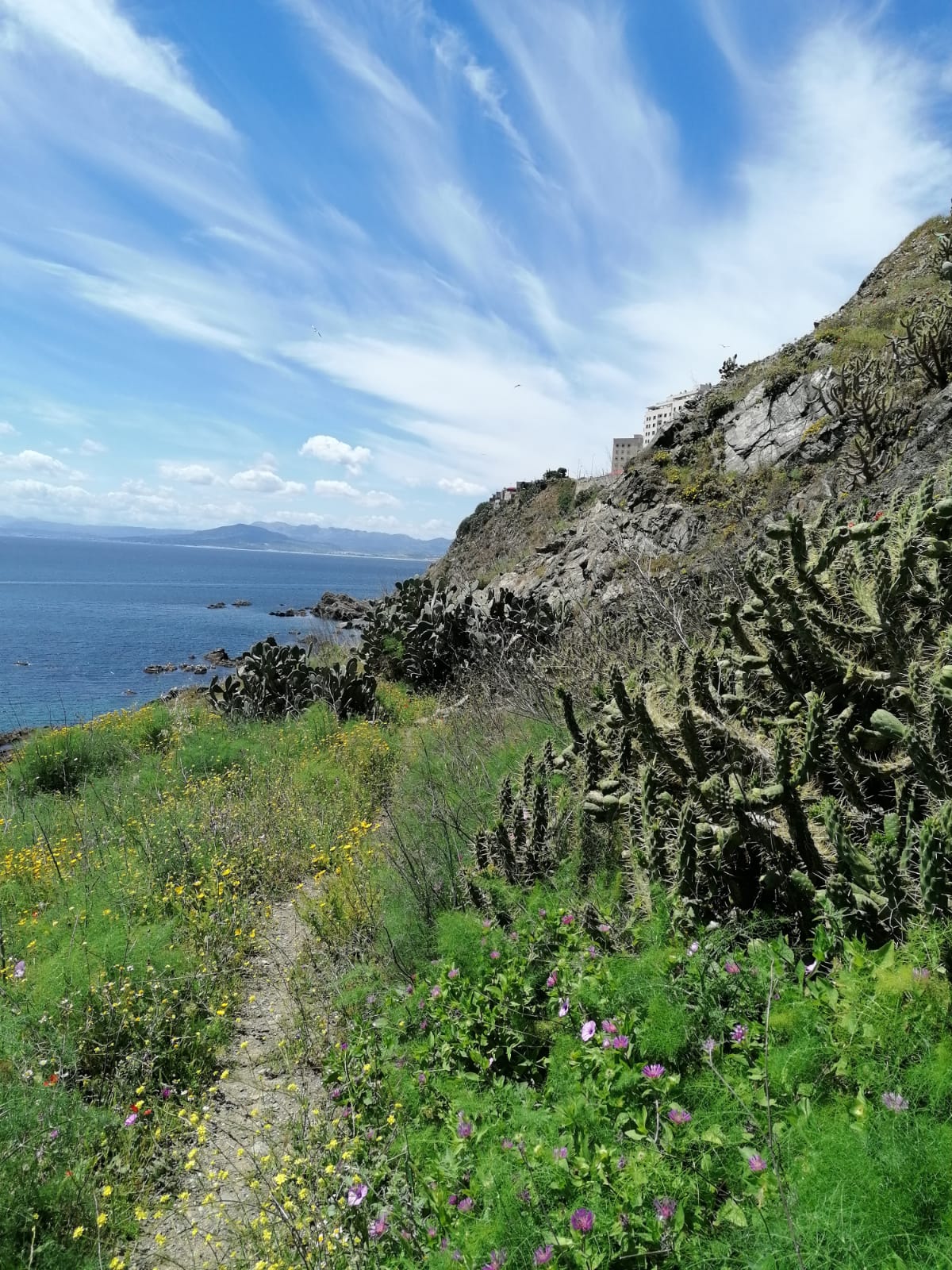 Tramo del sendero próximo a la colonia