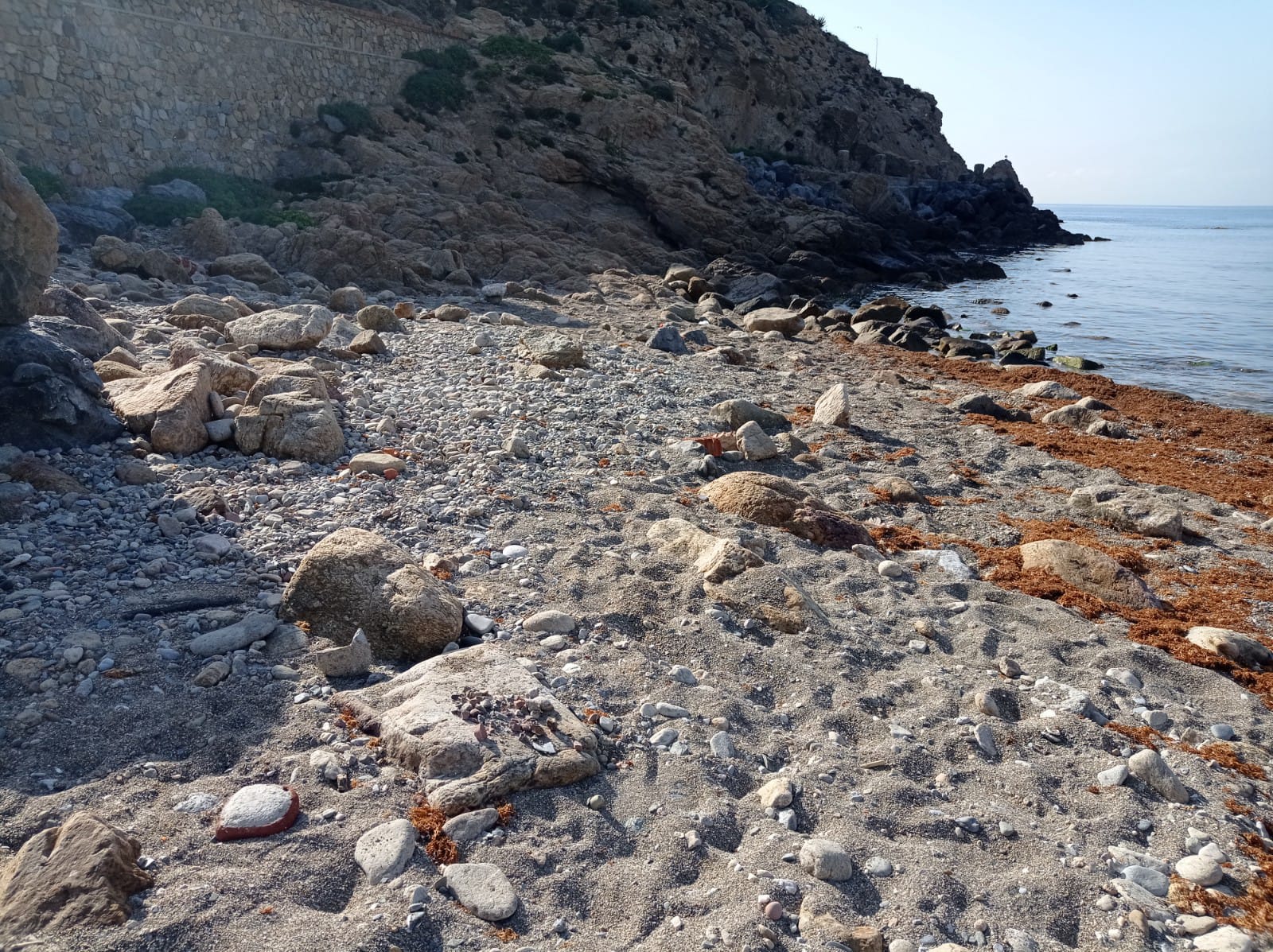 detalle estado anterior a la actuación