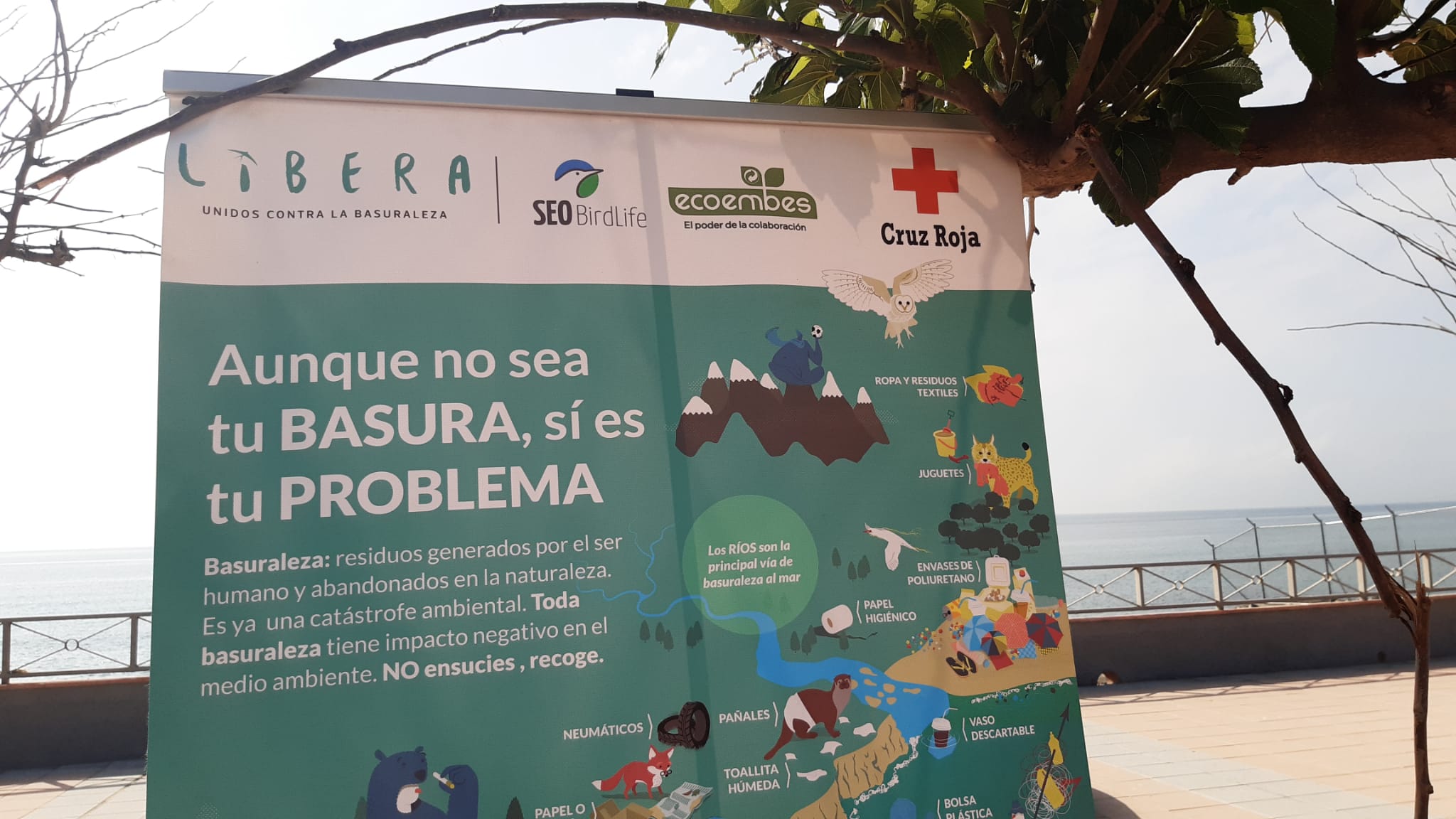 WhatsApp Image 2021-06-12 at 10.58.11 (1)