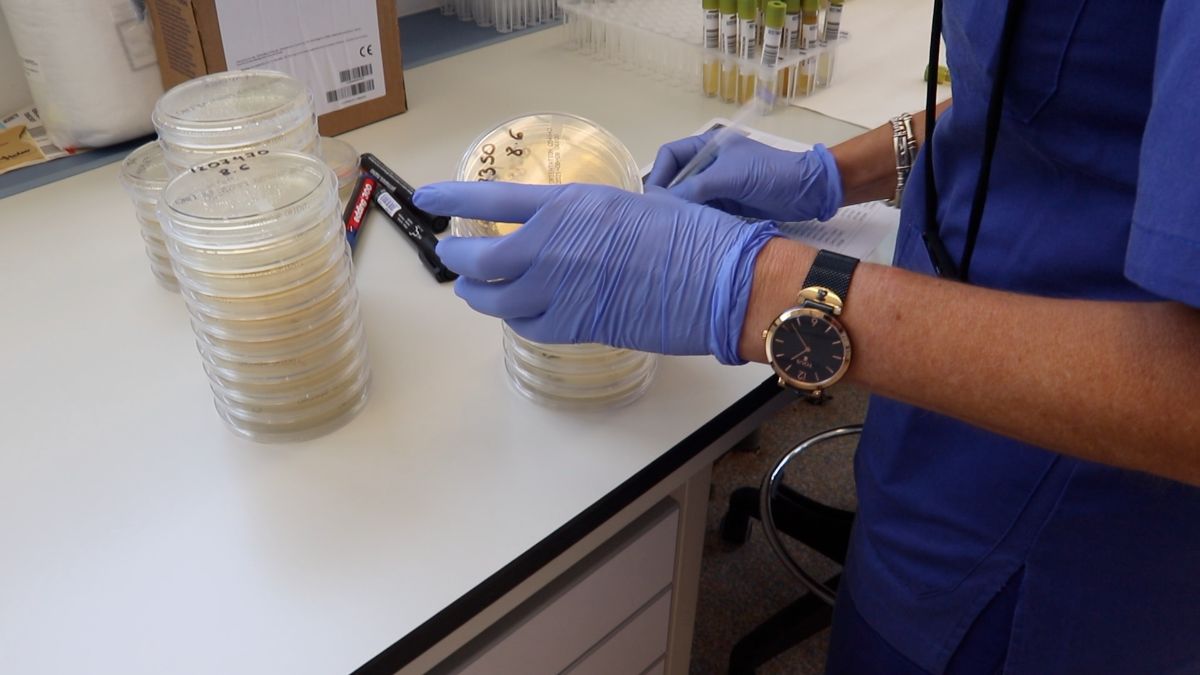 micro-analisis-clínico