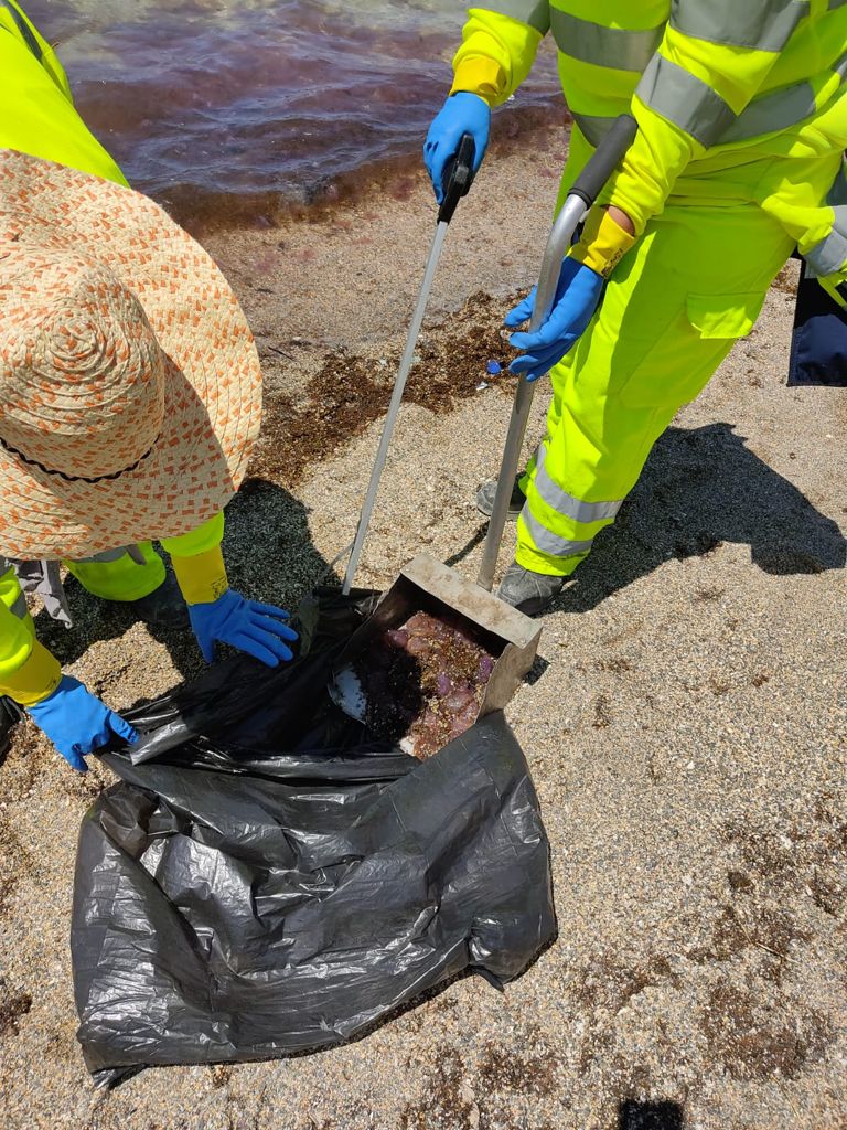 Retirada_medusas_Ribera_3