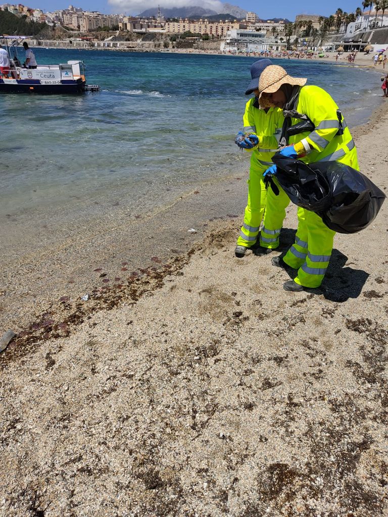 Retirada_medusas_Ribera_2