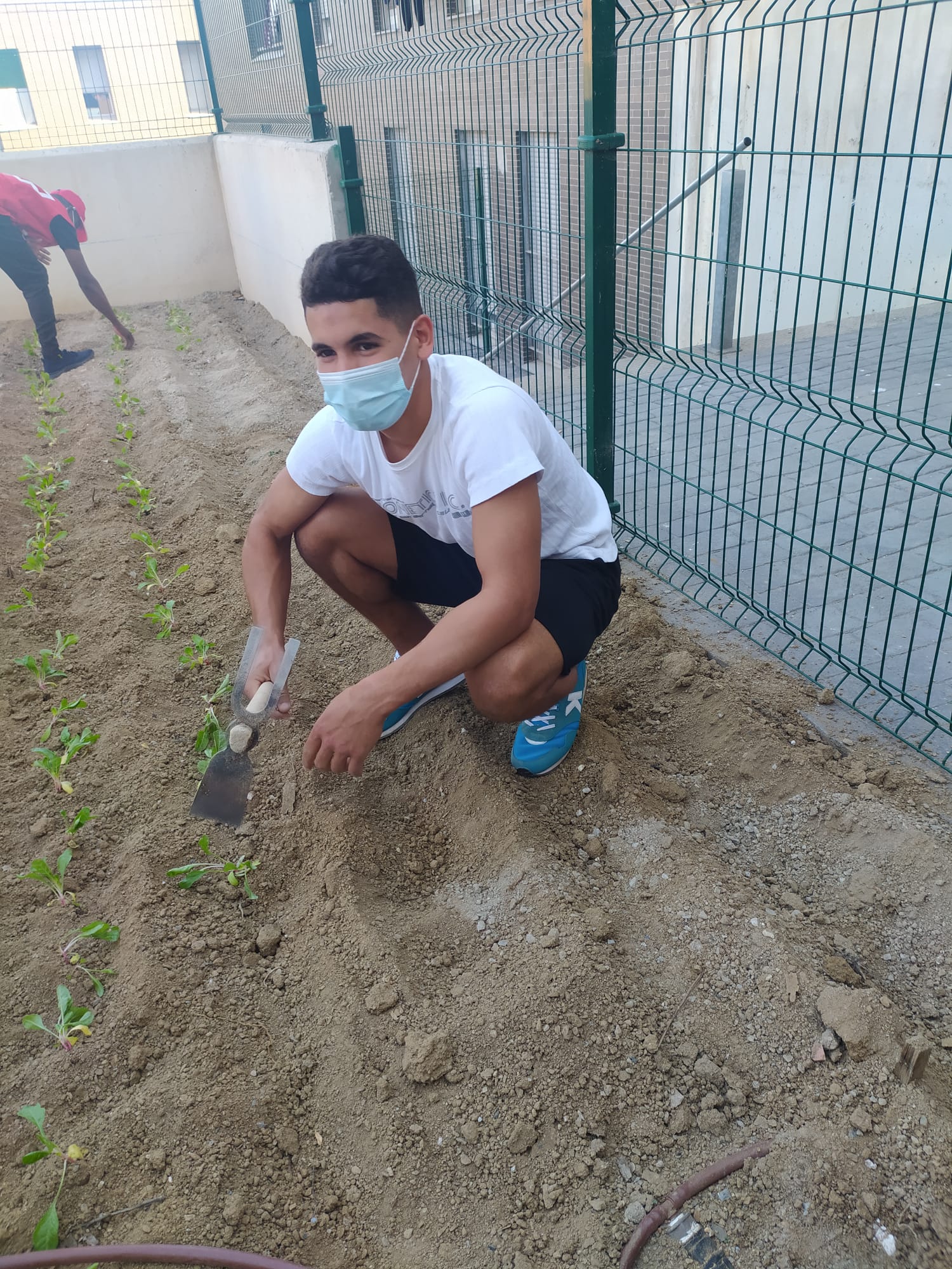 ix ruta ssaludable (1)