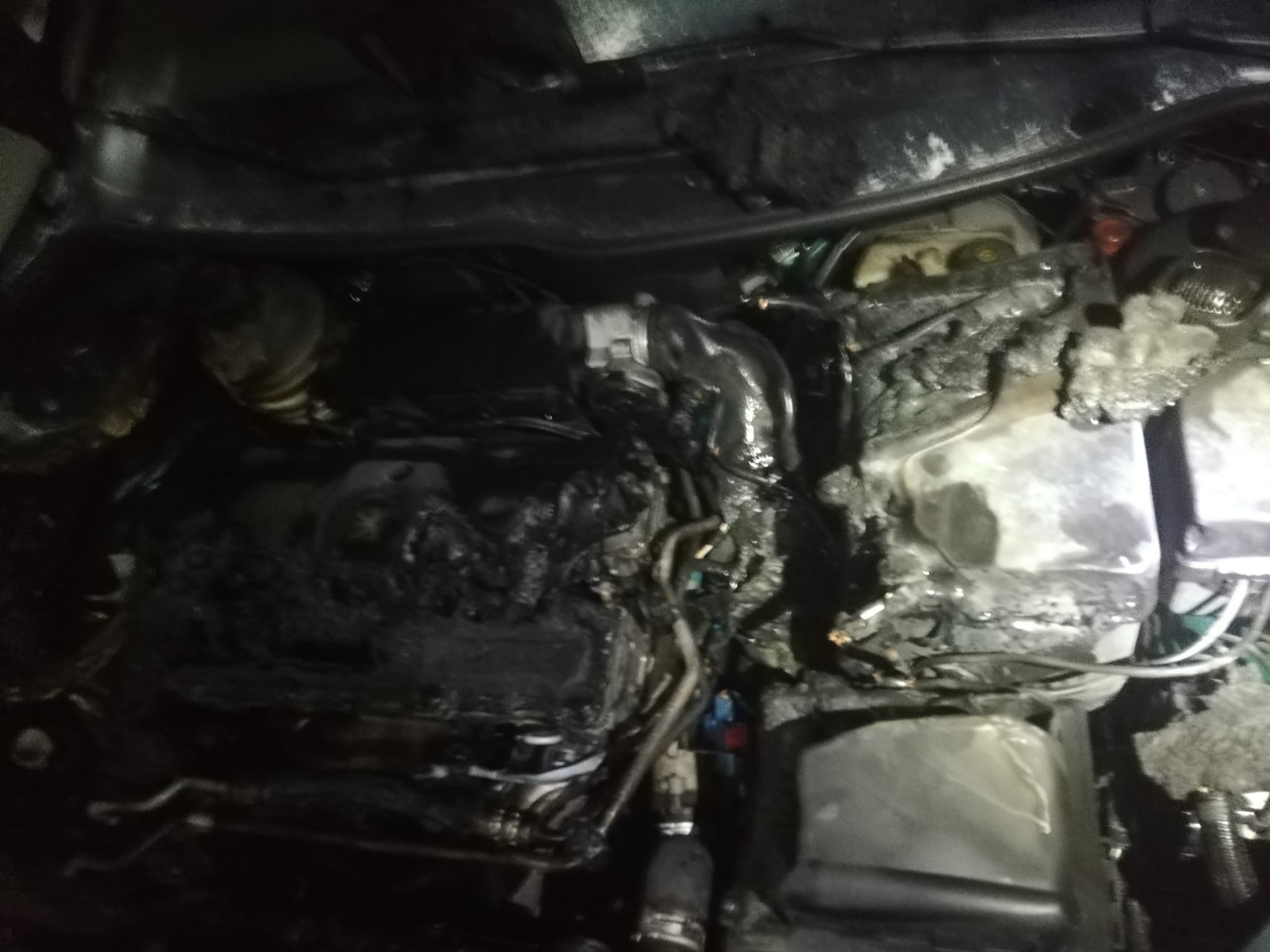 WhatsApp Image 2022-02-09 at 16.25.16 (1)