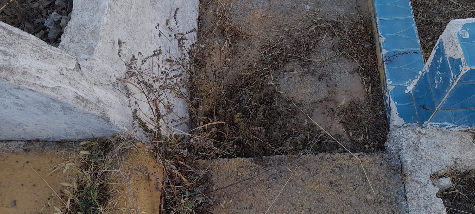 foto12