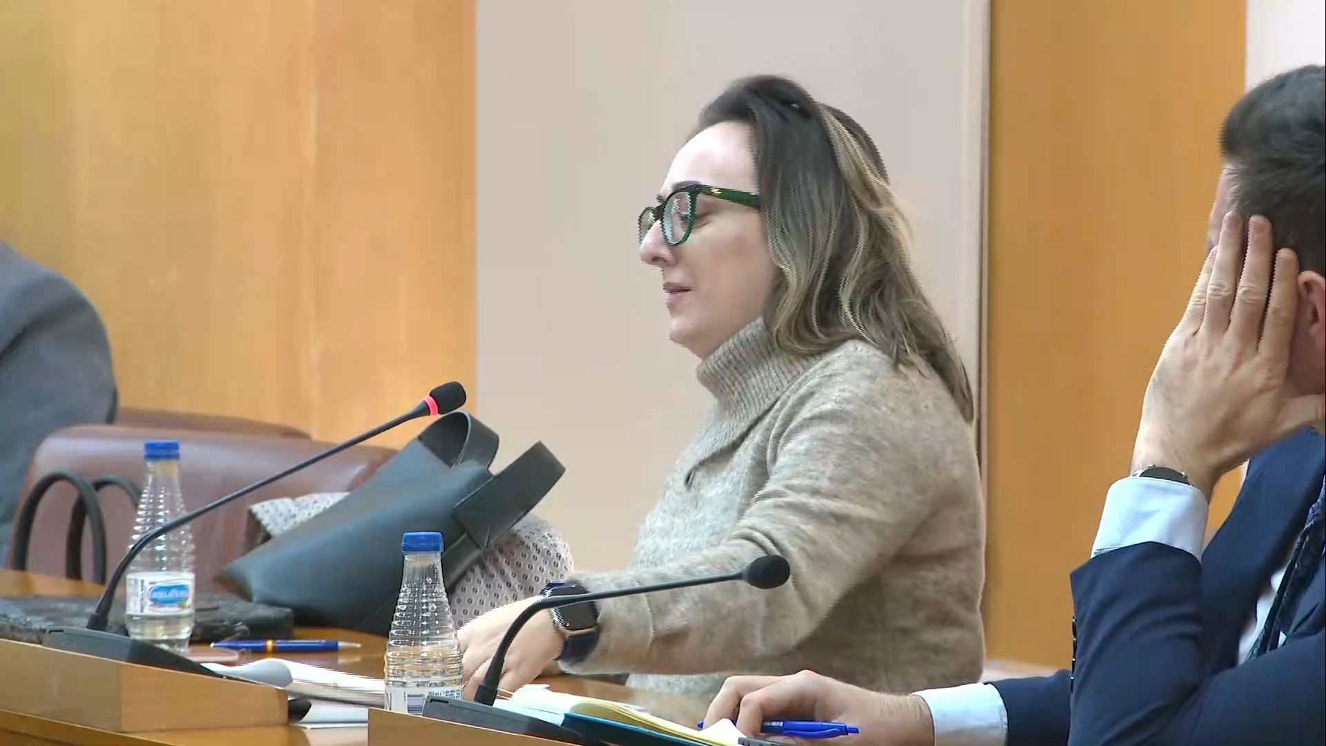 cifuentes vox