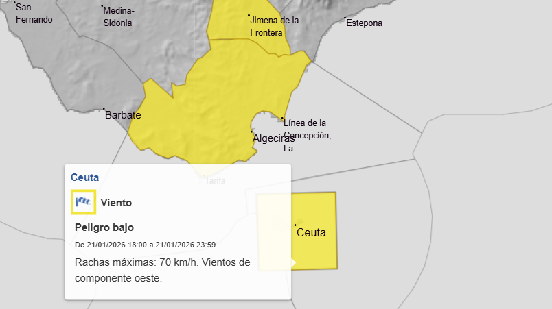 Captura de pantalla 2026-01-20 135232