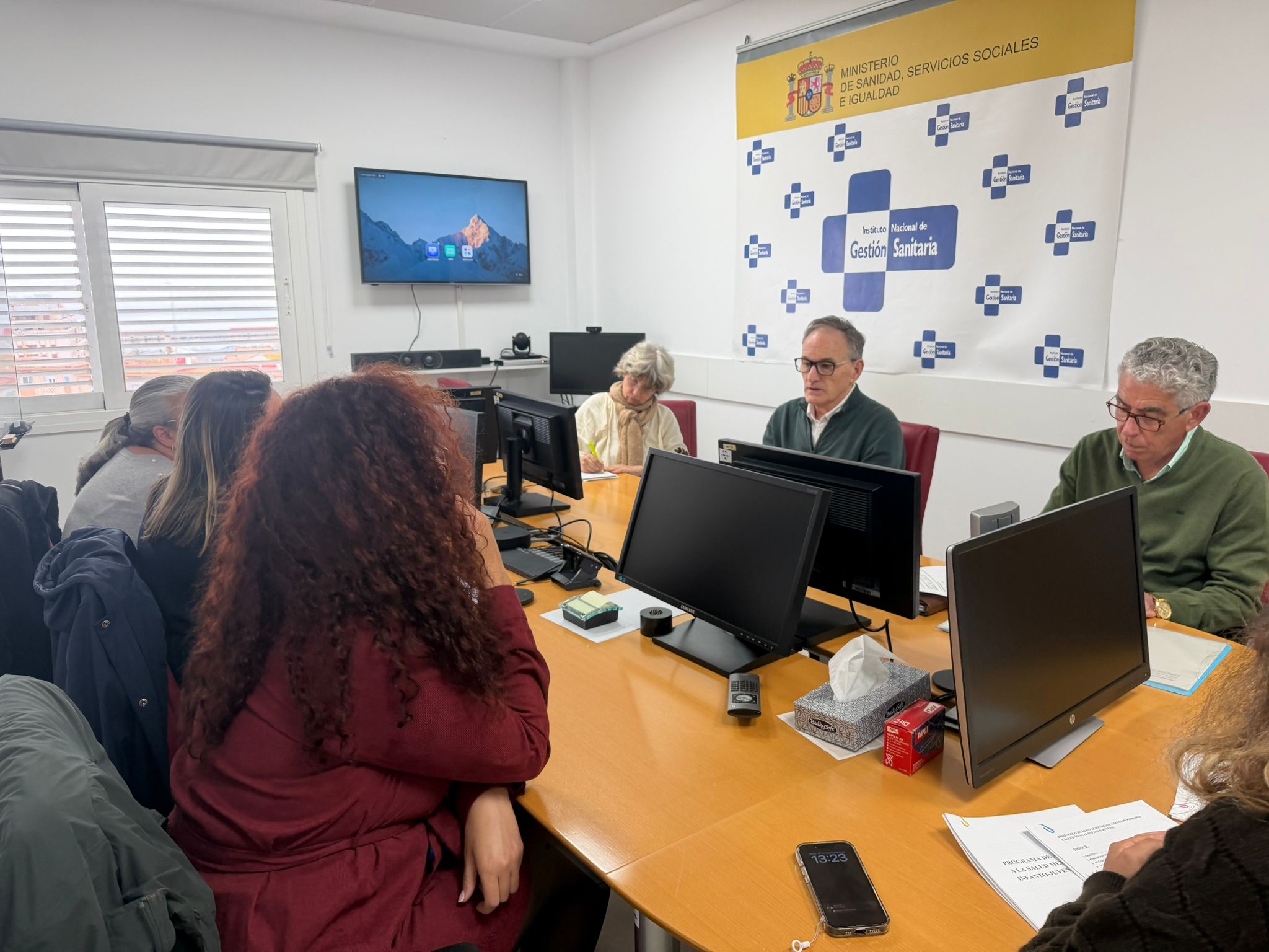 ingesa plena inclusión