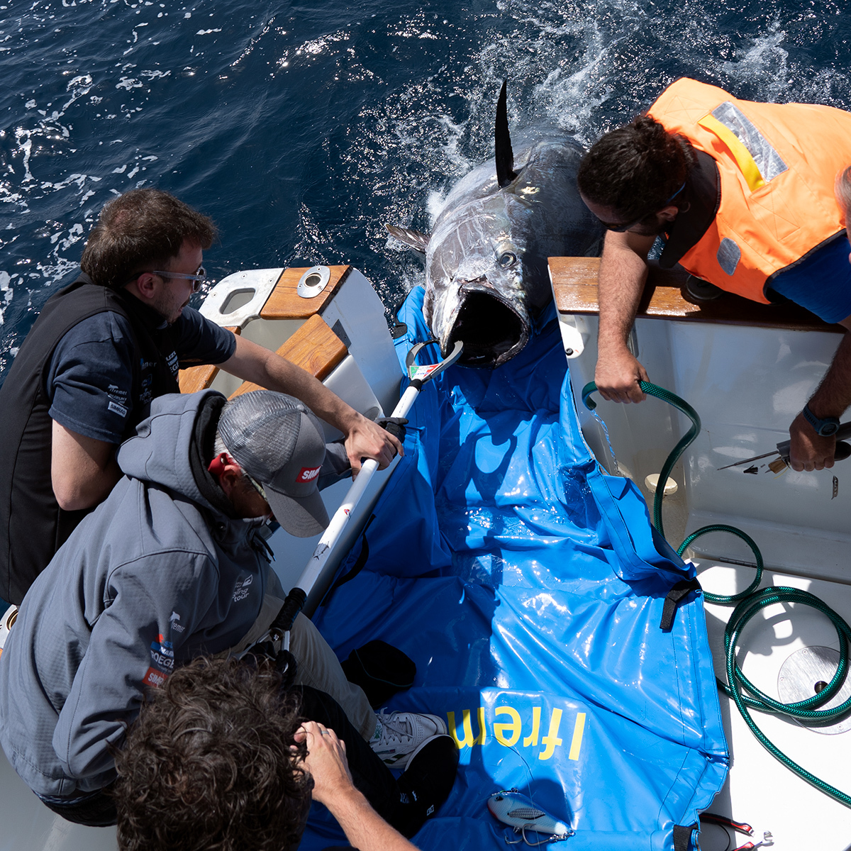 Scientific Angler Tagging Tour
