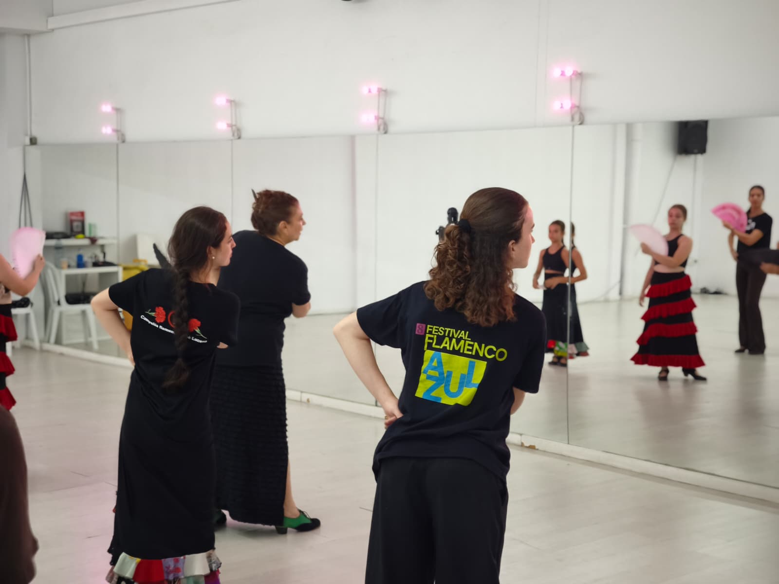 lsms lesmes danza