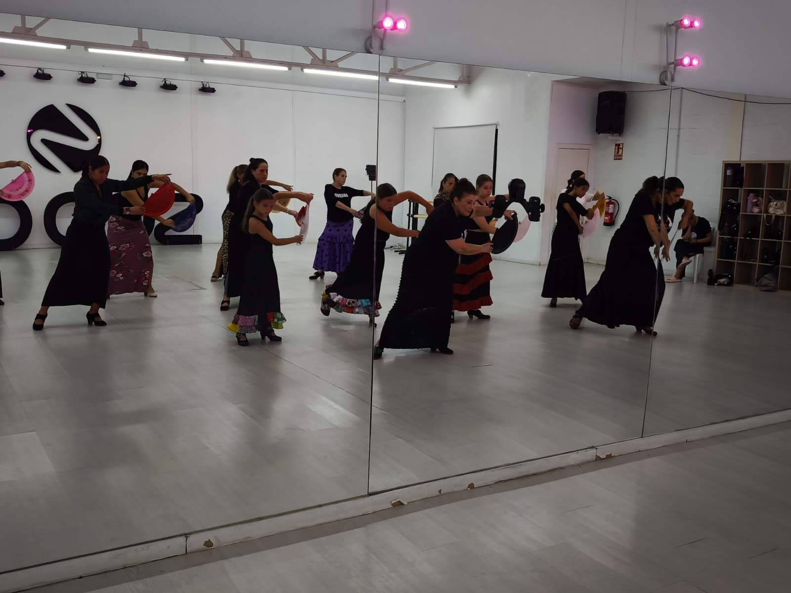 lsms lesmes danza